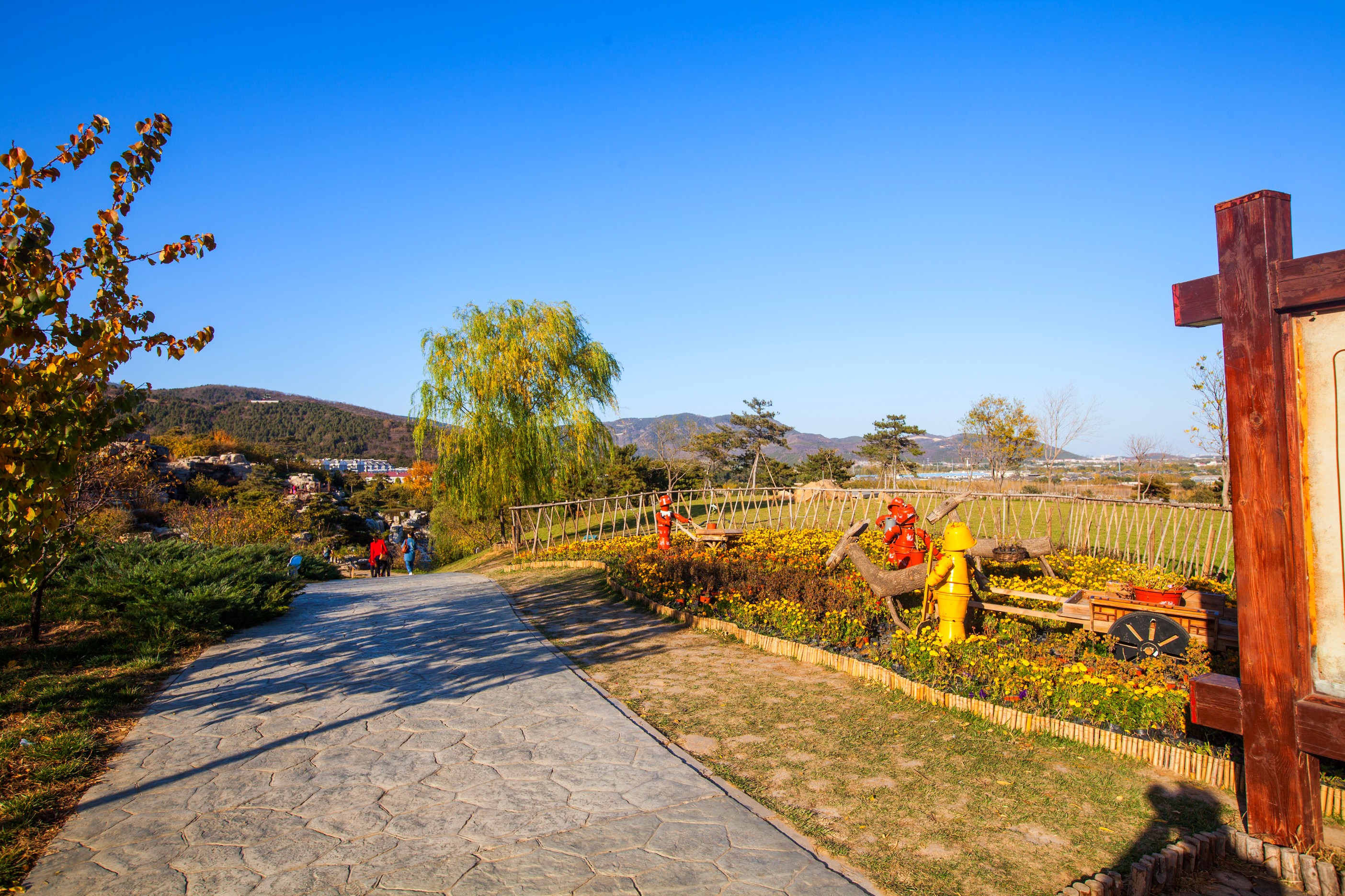 北京西山国家森林公园满满的禅意,深秋的北京西山国家森林公园