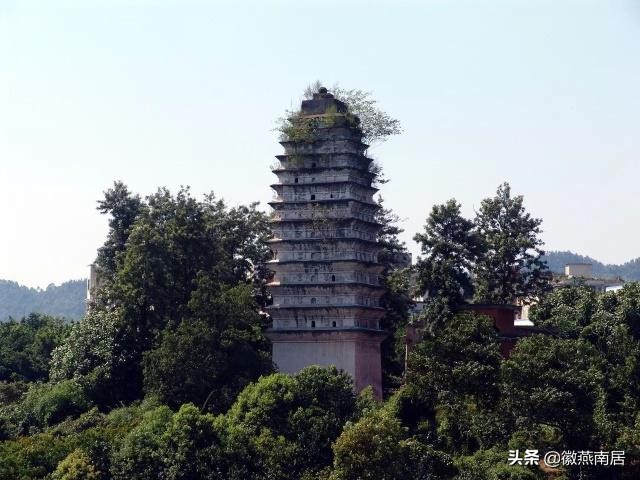 宜宾的自然保护区名单,宜宾文物保护单位有哪些