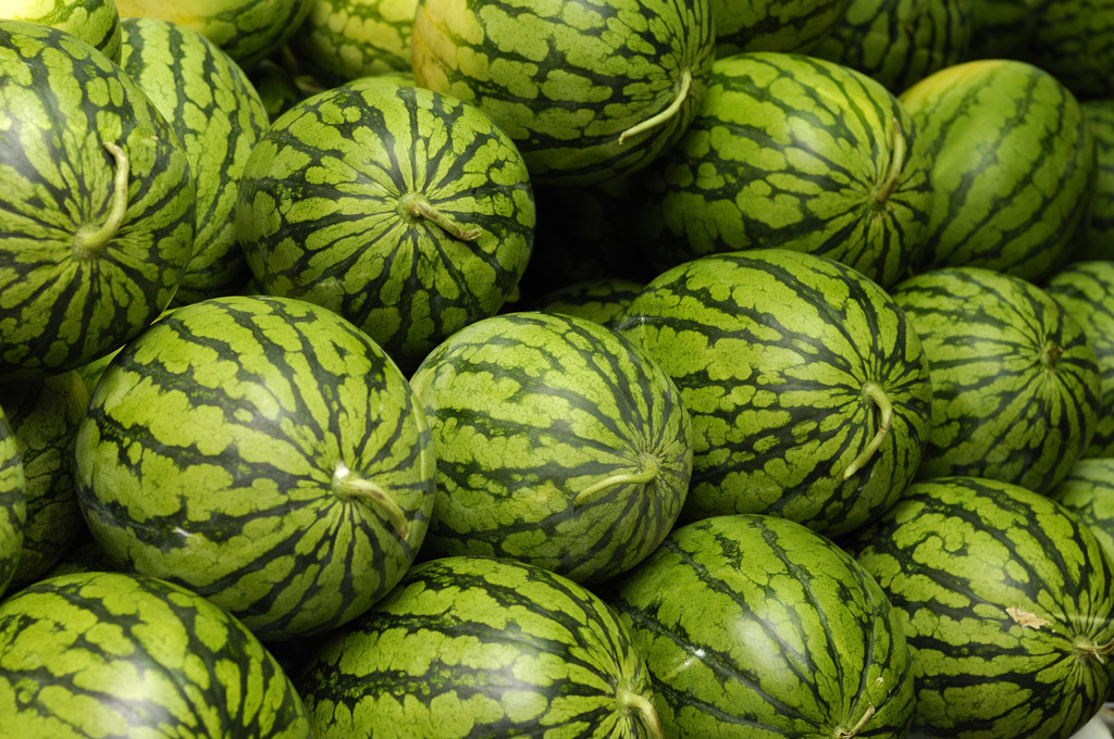 严防瓜类作物爆发病毒,高温高湿利于作物病毒病发生吗