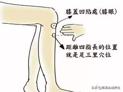 控制脂肪肝吃什么,降脂肪肝穴位