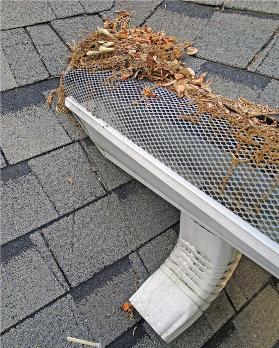 楼顶排水口堵塞怎么解决,我家一楼下水道老堵怎么办