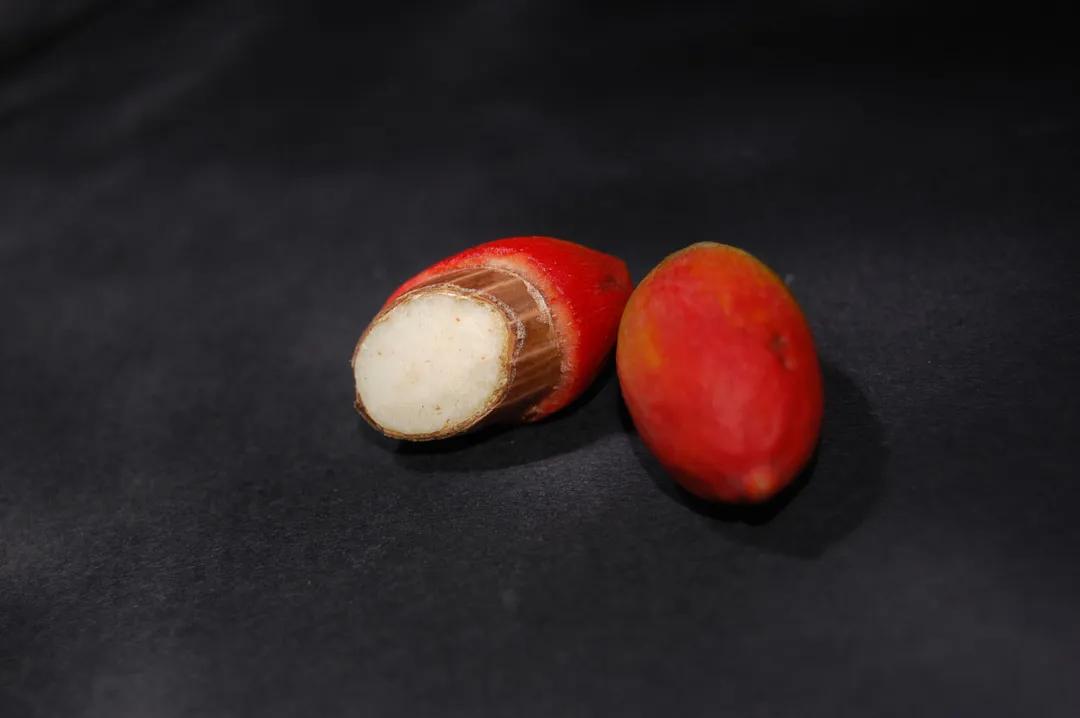 这种植物花不是花，果不是果，但还挺好吃