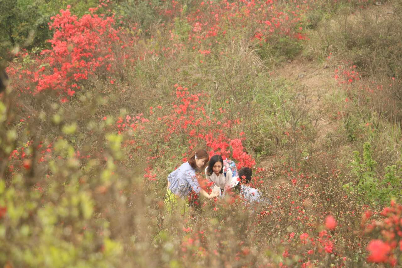 广州从化海拔1000米的山峰,从化十大最难爬的山