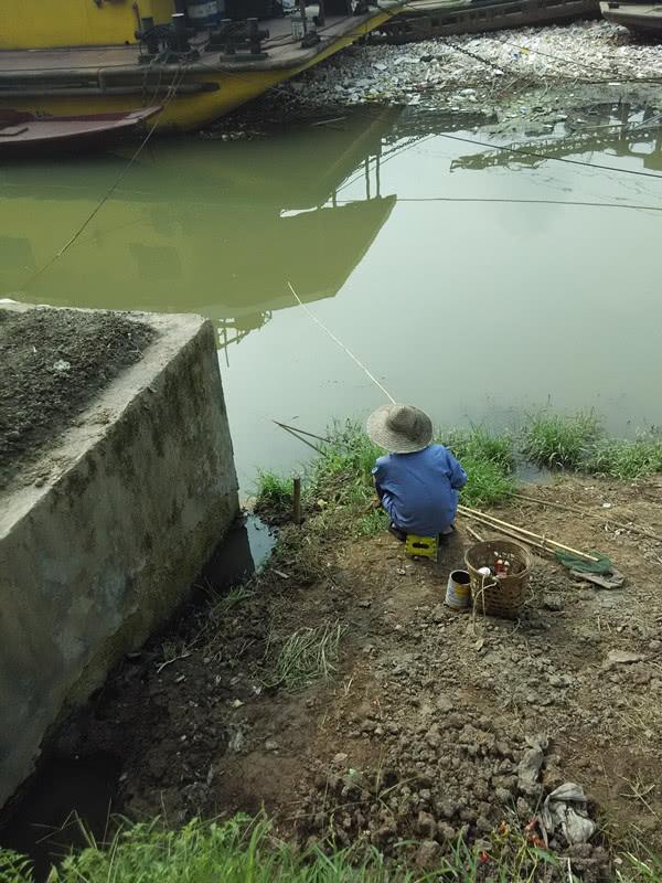 野钓蓝鲫怎么选择,钓鲫鱼用野战蓝鲫还是老三样