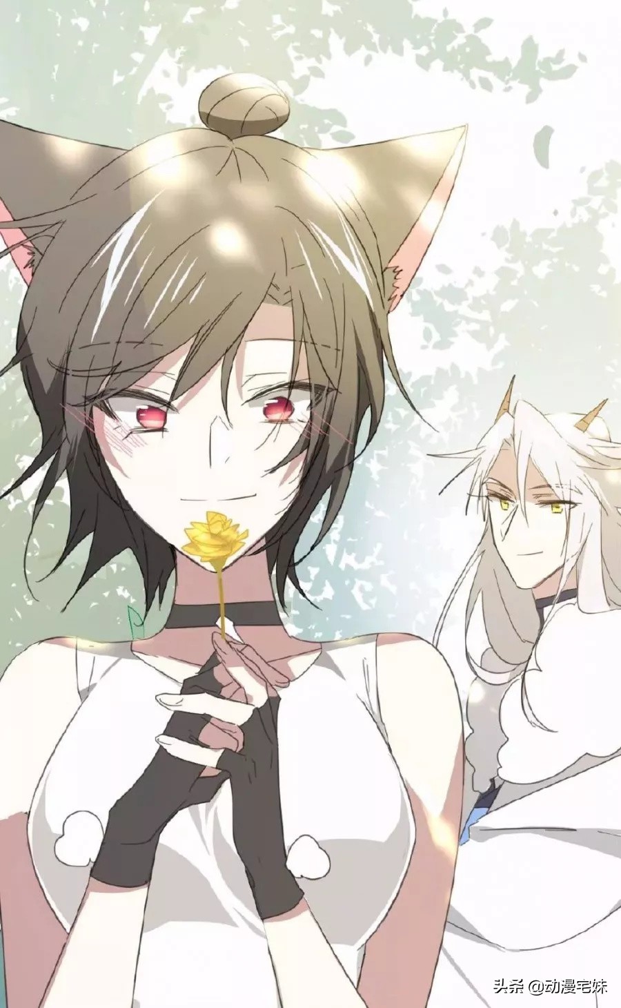 最受欢迎的恋爱漫画男生,盘点那些令你心动的漫画男生