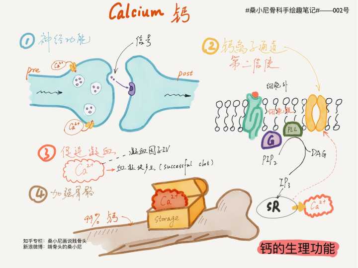 甲亢对身体哪些器官有影响,甲状腺结节甲亢会影响寿命吗