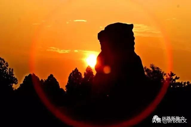 为什么有的人性情特别凉薄,为什么人的性情会凉薄