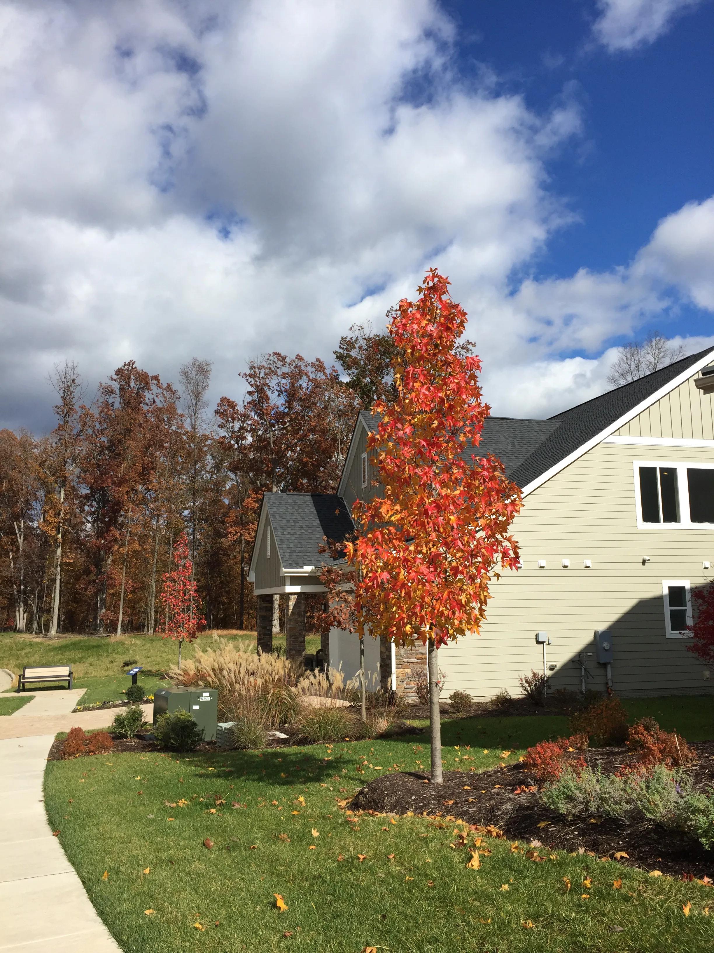 简单描述一次看病的经历,说说去医院看病的经历