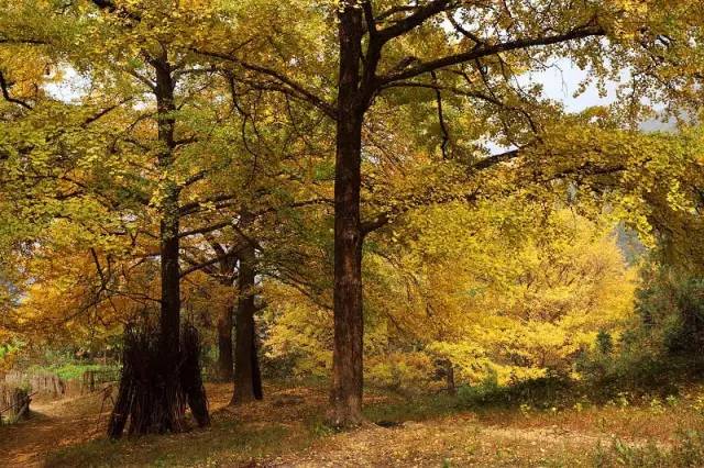 长沙身份证430102,长沙42开头的身份证