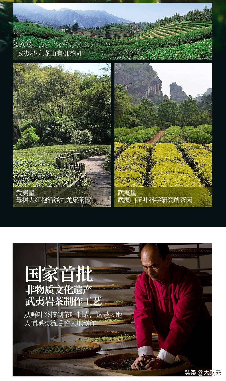 武夷星好茶推荐,匠心独具武夷岩茶