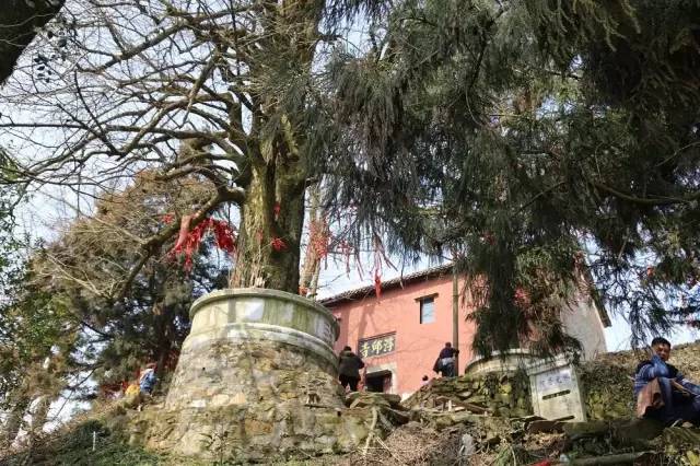 湖南益阳被救女孩,湖南益阳女子被救助