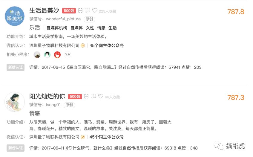 揭秘自媒体公司,自媒体团队骗局曝光