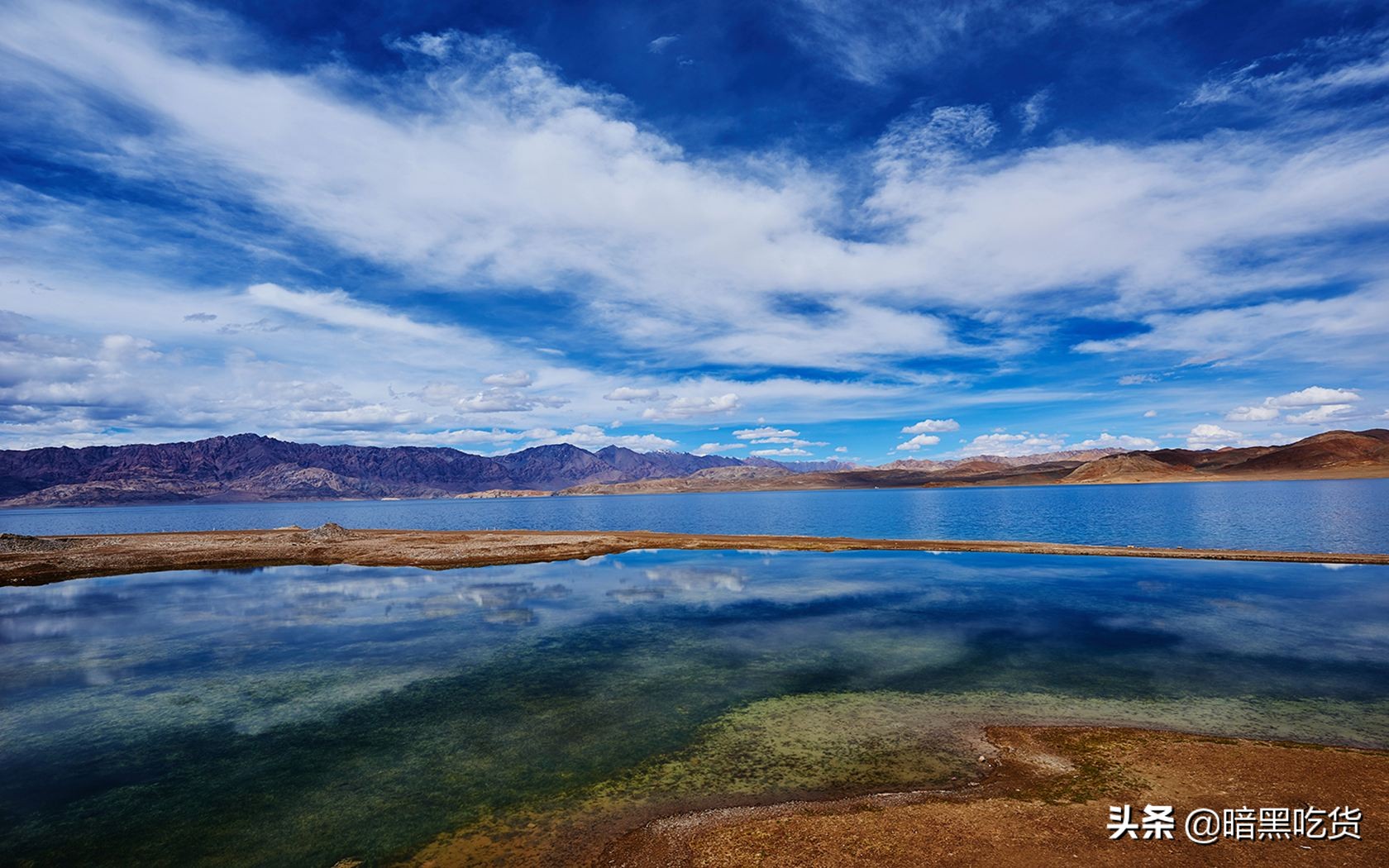 顾城的经典诗句感悟,如何评价顾城的诗句