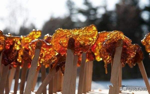 加拿大枫糖的前世今生