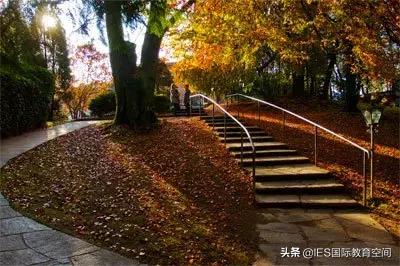 瑞士蒙特勒国际学校夏令营,瑞士tasis学校的入学要求