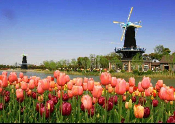 上海临港新城怎么样,上海五大新城临港新城