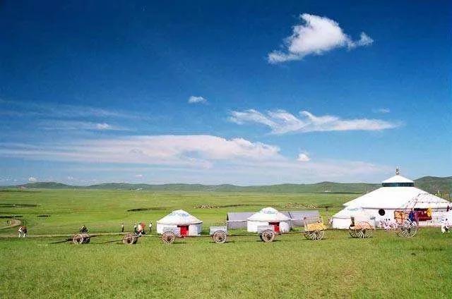 大青沟漫话/张志军