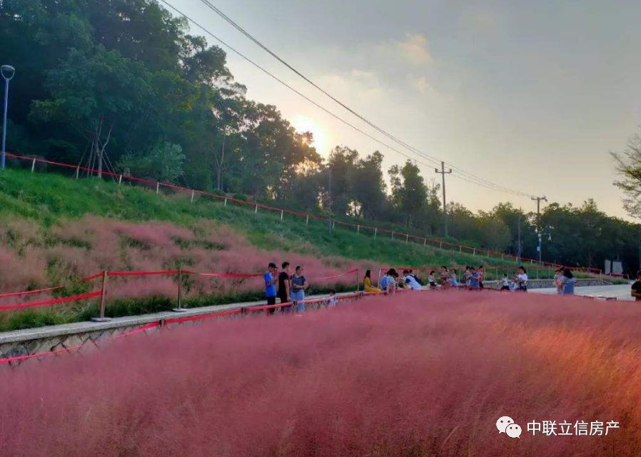 福州品质公寓再启租赁热潮，城市以你为中心