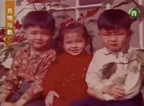 王祖贤依旧美艳动人,曾经的一代女神王祖贤也初现老态