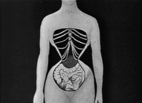 欧洲中世纪胸衣,欧洲中世纪紧身衣