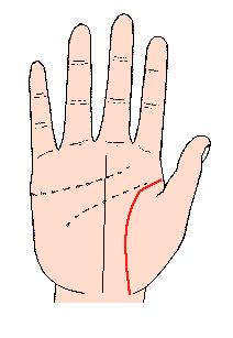 看手相可以预测什么,手相能预测考试吗