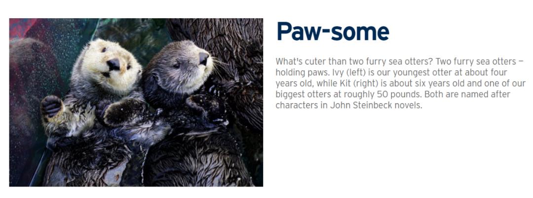 不用网可以学习启蒙英语,学英语必备的8个网站