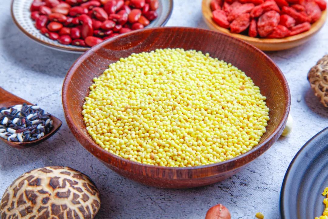 人们常用五谷代表丰收五谷指什么,五谷杂粮五谷丰收是哪五谷