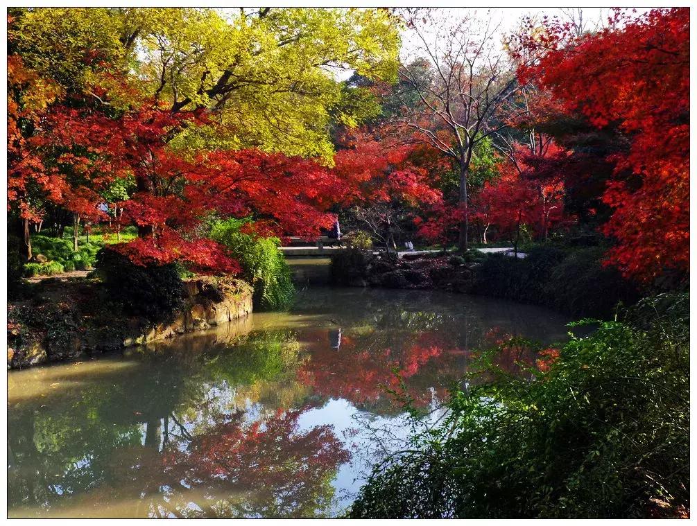繁华喧闹的老街,繁华古镇老街