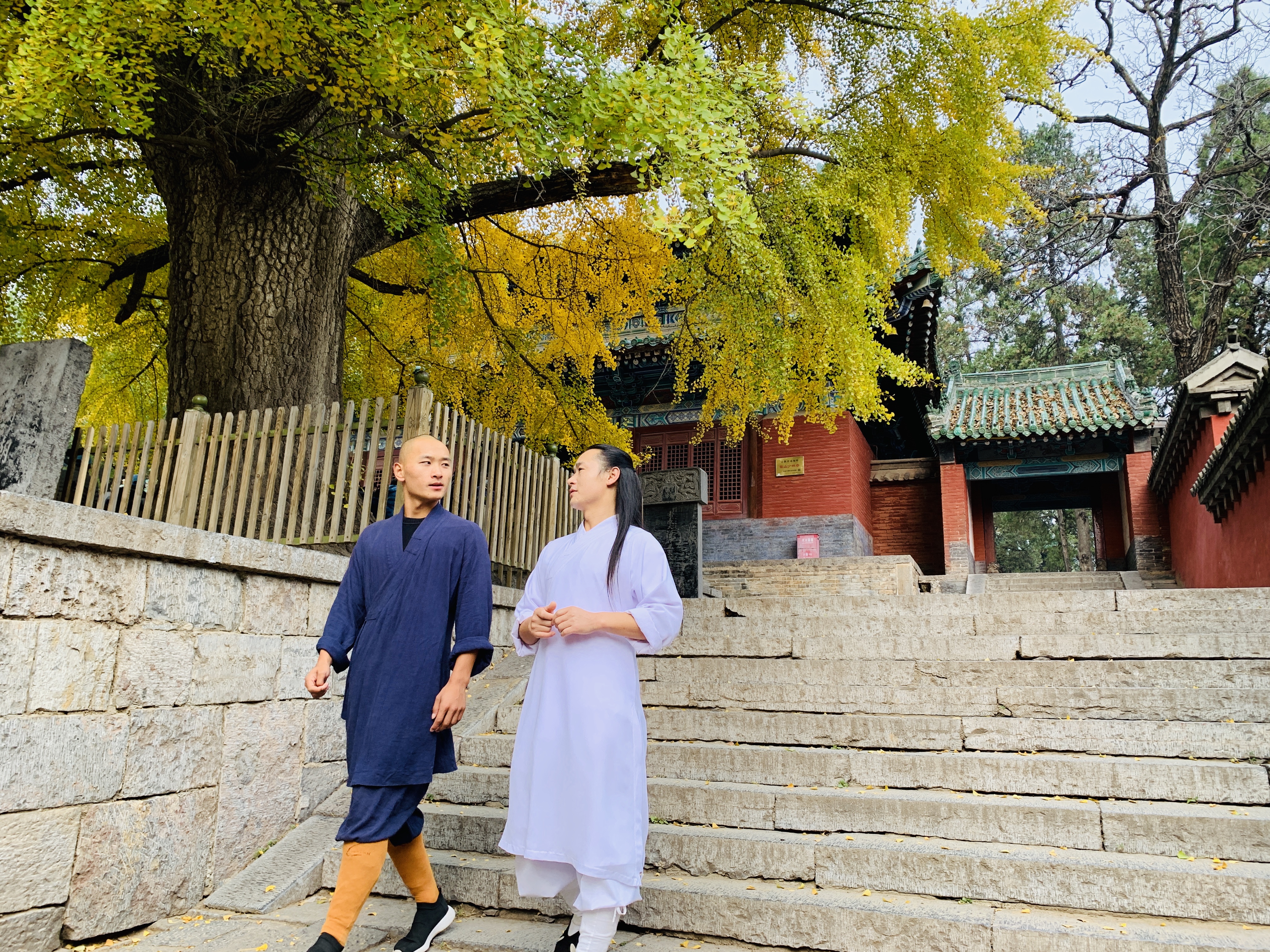 走进少林那扇无形的大门,少林一叶一菩提