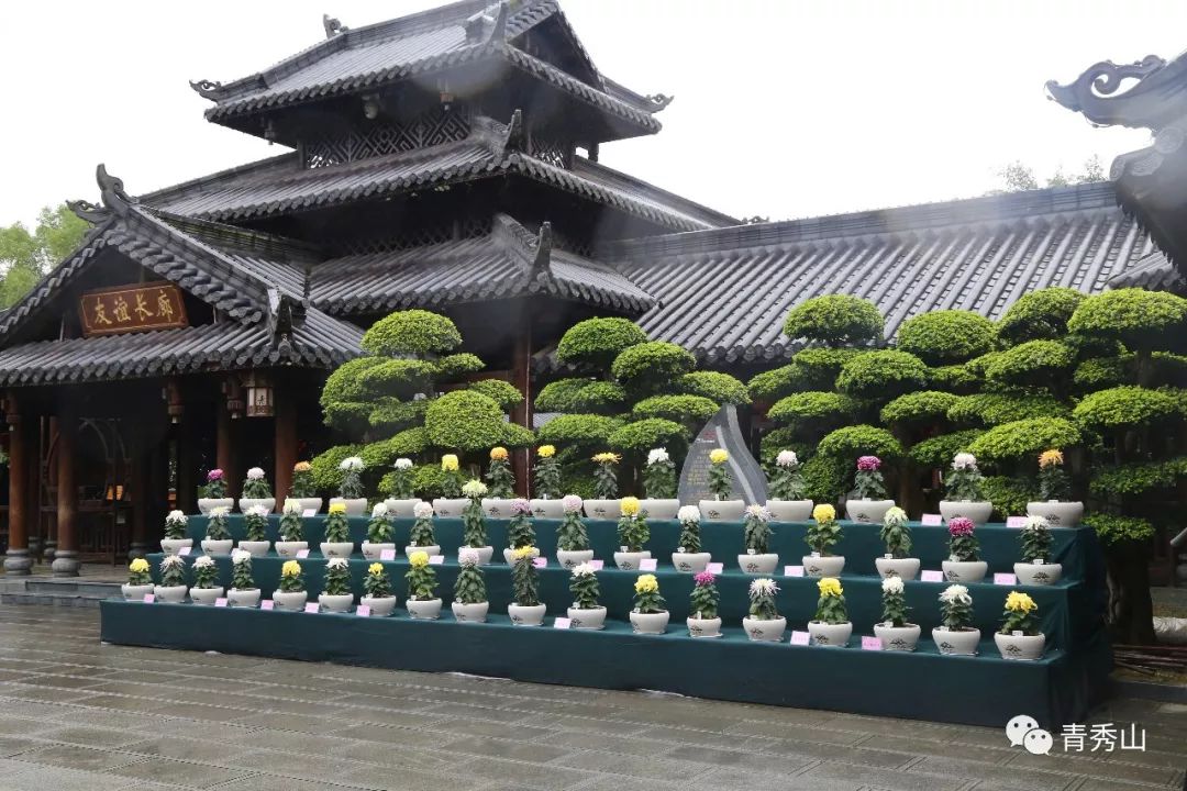 自拍达人全景,南宁自拍拍照博主