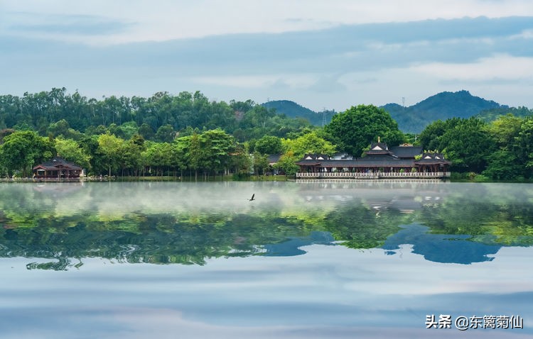 2021年文字祝福,2020年祝福合集