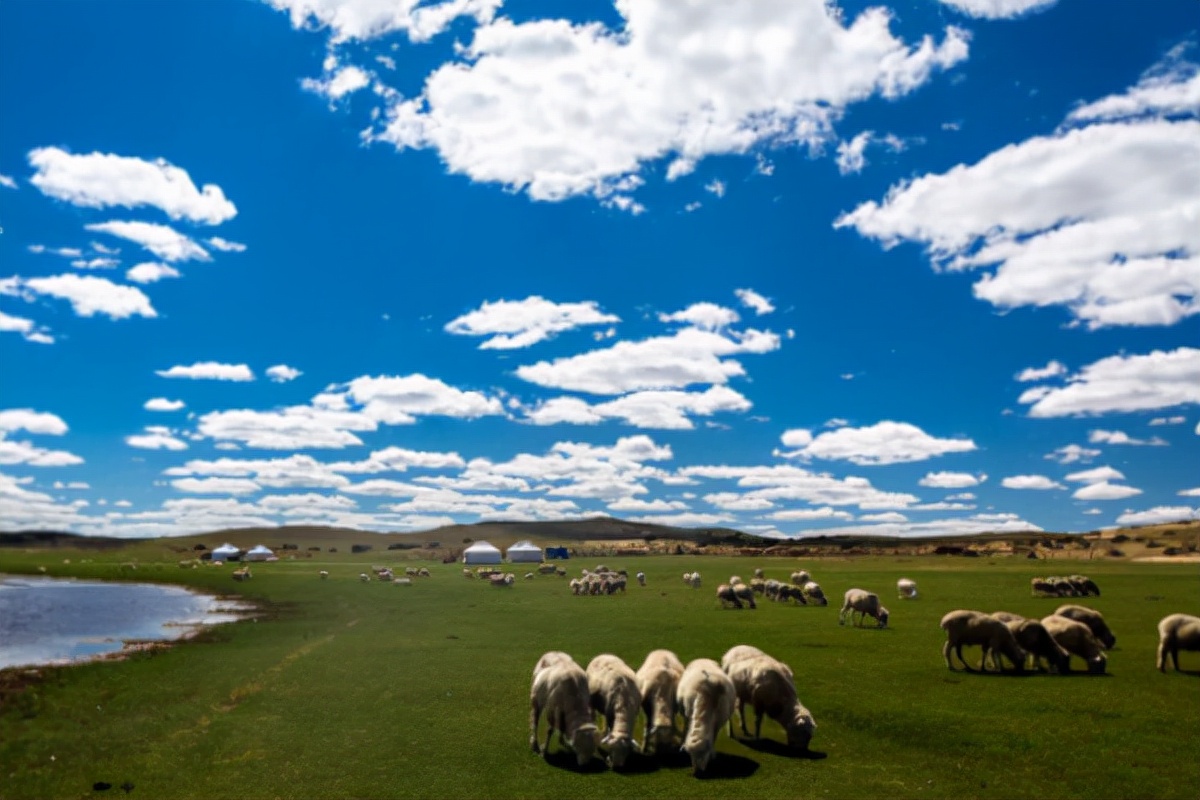 内蒙古旅游县城,内蒙古最适合居住的旅游城市