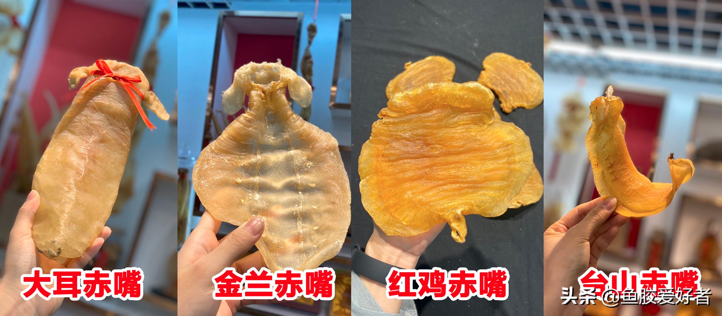 赤嘴鳘鱼胶颜色深好还是浅好,赤嘴鳘鱼胶有哪些种类