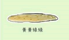 铲屎官都注意了狗狗为什么吐黄水,狗狗呕吐的5个常见原因