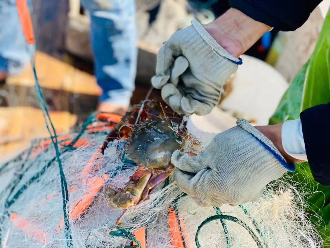 年度最爱美食胜地：潮汕（不接受反驳）