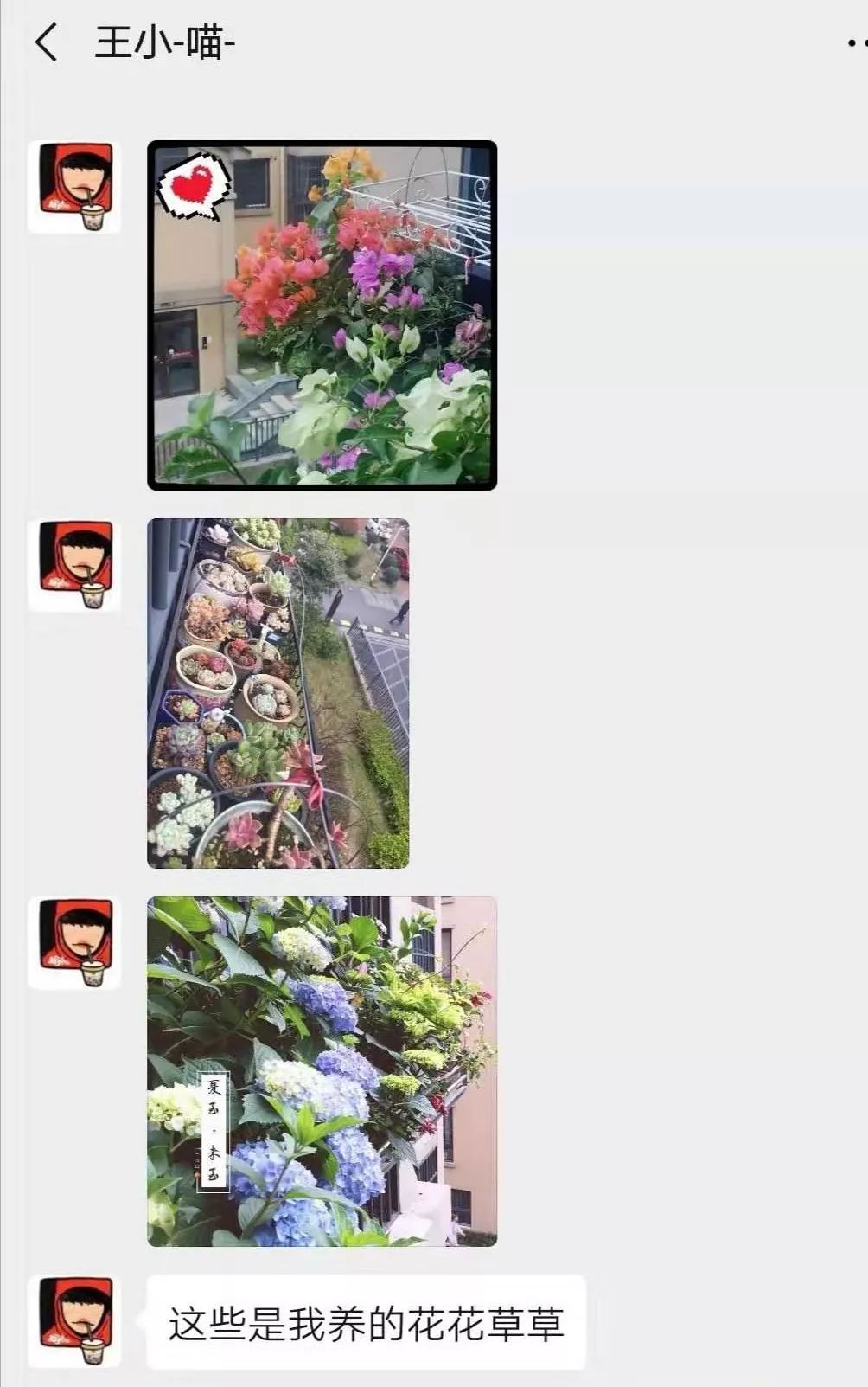 从0到团钩达人，我到底付出了多少努力