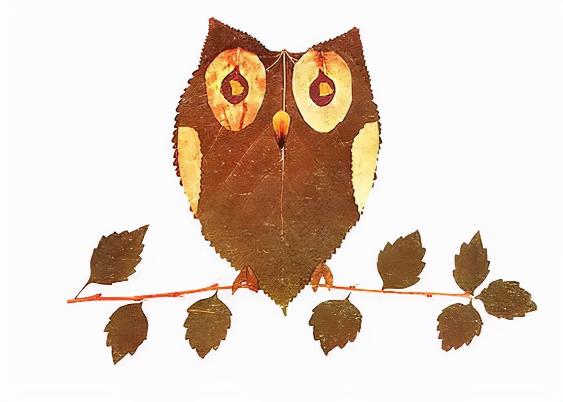 有多少种各种各样的小动物呢,用落叶做可爱的小动物