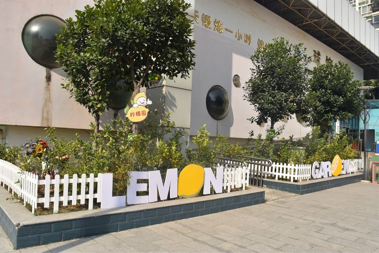 继往开来，绚丽“出彩”一一八桂绿城小学2018年工作汇报