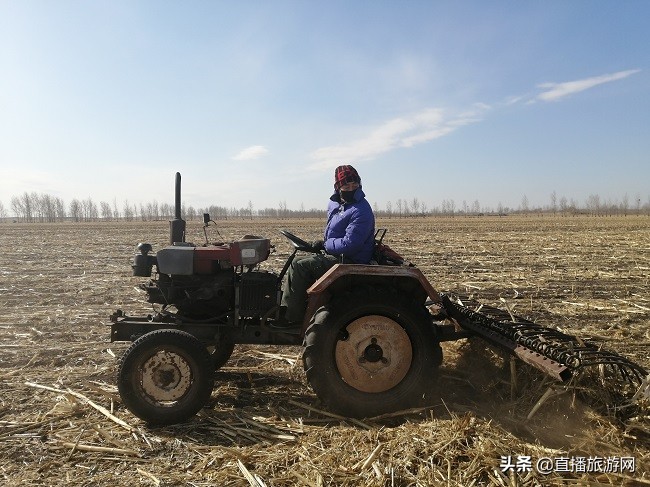 众志成城抗击疫情齐心协力保春耕,抗击疫情不误农时春耕备耕