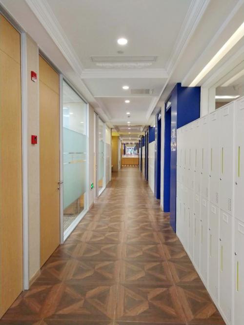 上海美高学校马桥校区,上海美高国际学校闵行区