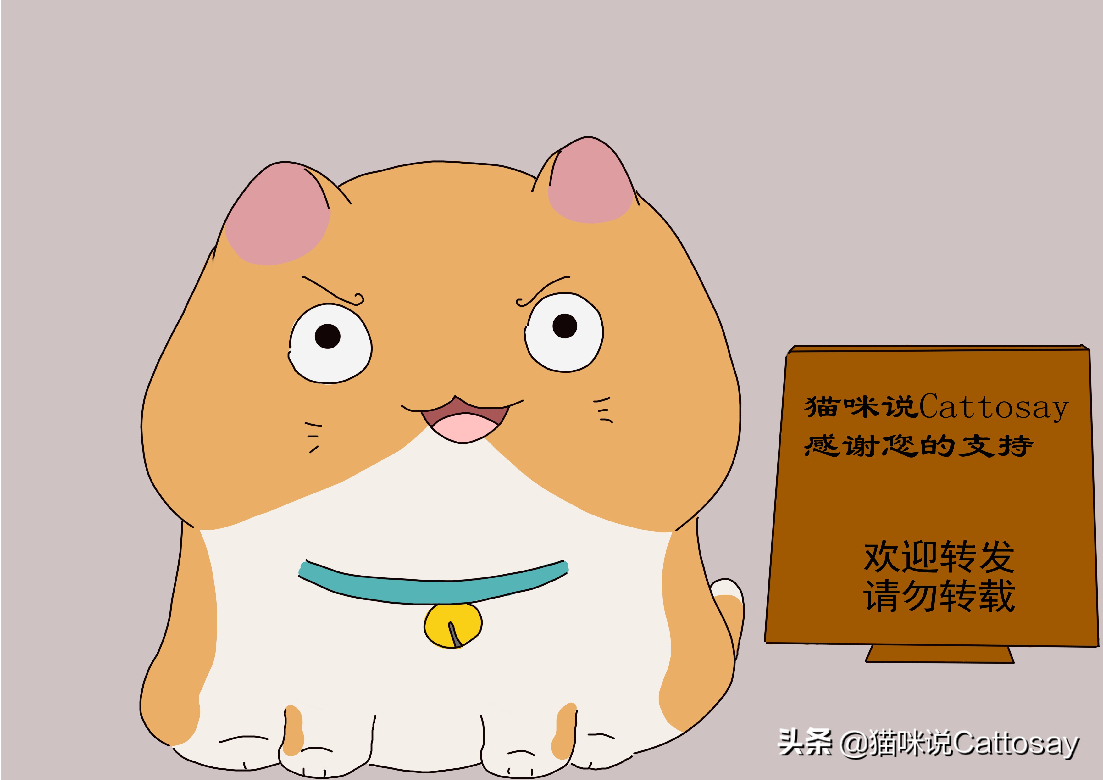 猫冬天怕冷吗需要做保暖措施吗,猫为什么怕冷怎么保暖