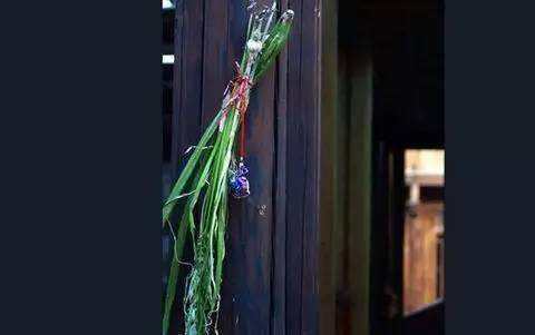 在地里烧秸秆害虫烧死一大半,在山里砍竹子用的蚊香