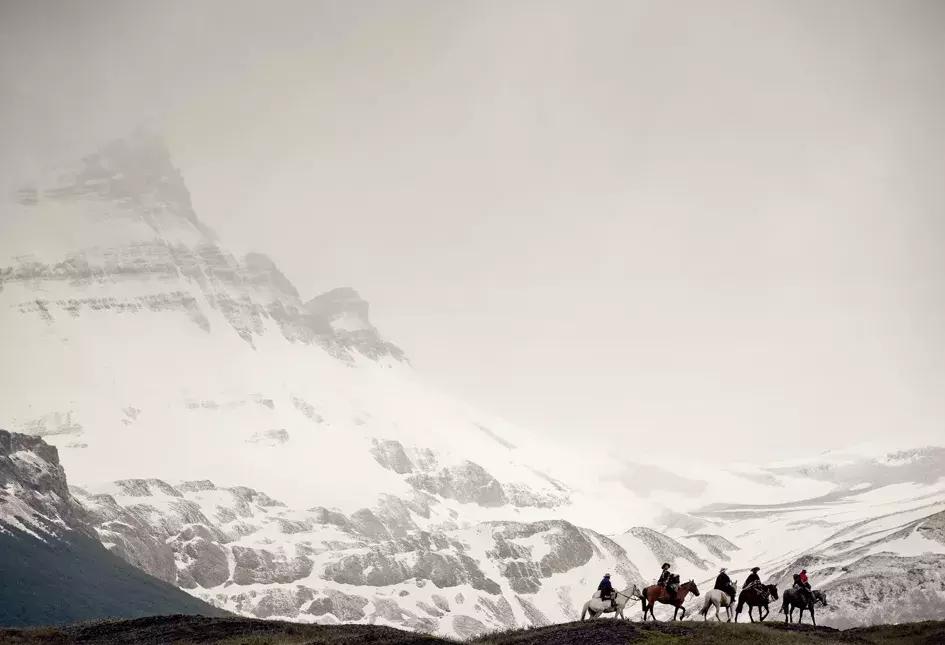 马背上的孤胆英雄:无马不欢的高乔人