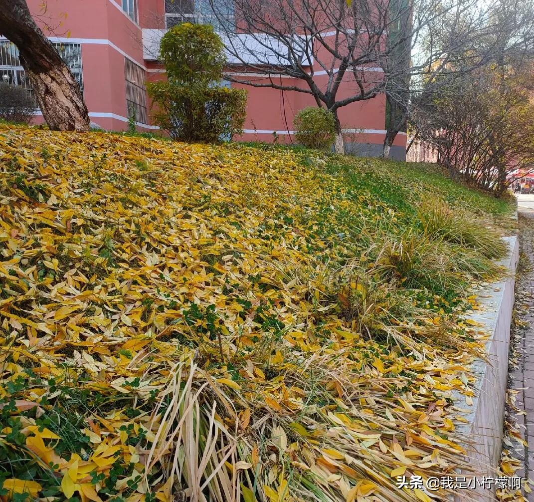 通化师范学院教务管理,通化师范学院成人教育