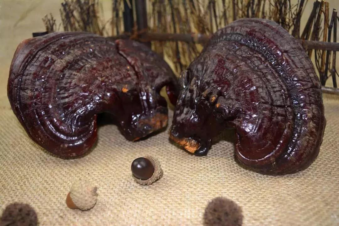 长白山冬天天池值得去吗,去长白山旅游都看什么