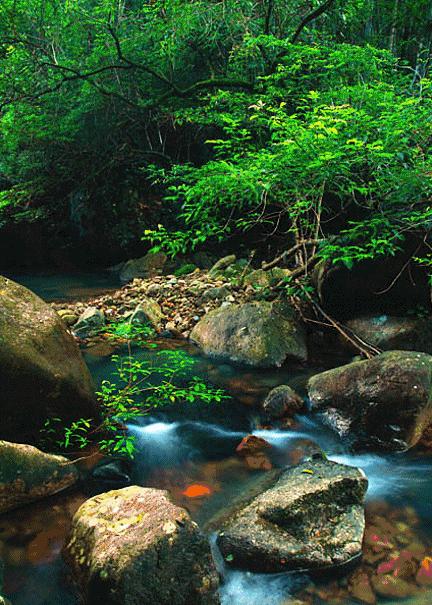从化旅游度假推荐,从化旅游攻略从化一日游必去景点