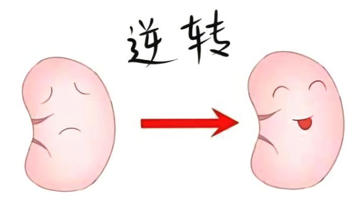 糖友们预防糖尿病肾病的几招,糖尿病肾病分期标准5期症状