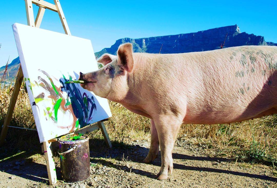 老鼠画画超简单,老鼠画画作品