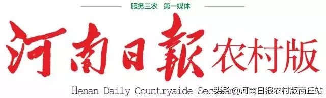 金融办优化营商环境汇报,金融服务助推乡村振兴战略