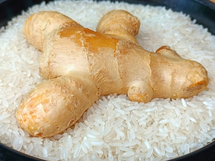 生姜怎么保存不会烂小窍门,生姜放在地里不挖出来怎么保存